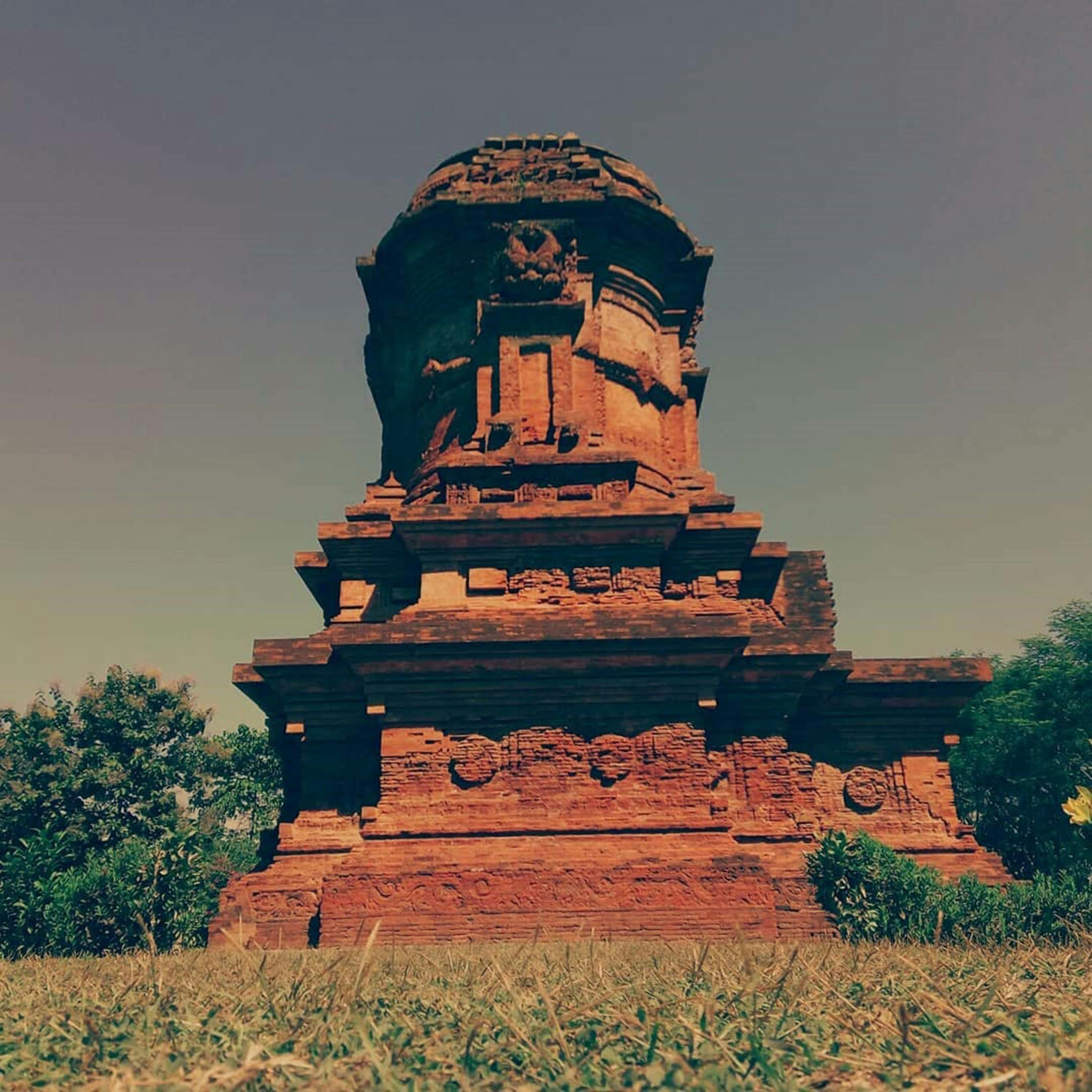 Consultation & diagnostic